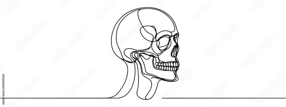 Fototapeta premium Continuous one line human anatomical skull, vector illustration.