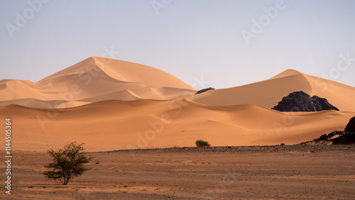 Obraz na płótnie Sahara Desert Tadrart Rouge in Southern Algeria w salonie