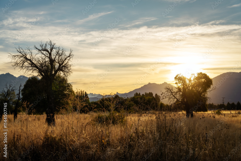 Golden Fields during Sunset in Patagonia Argentina