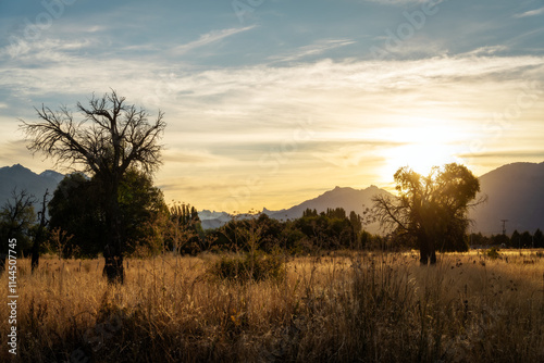 Obraz na płótnie Golden Fields during Sunset in Patagonia Argentina w salonie