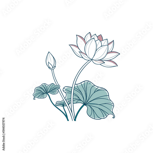 Hand drawn lotus flower and leaves  