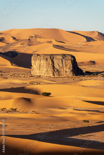 Obraz na płótnie Sahara Desert Tadrart Rouge in Southern Algeria w salonie