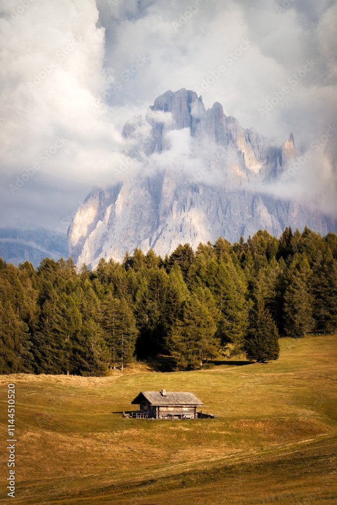 Alpe di Siusi in the Italian Dolomites