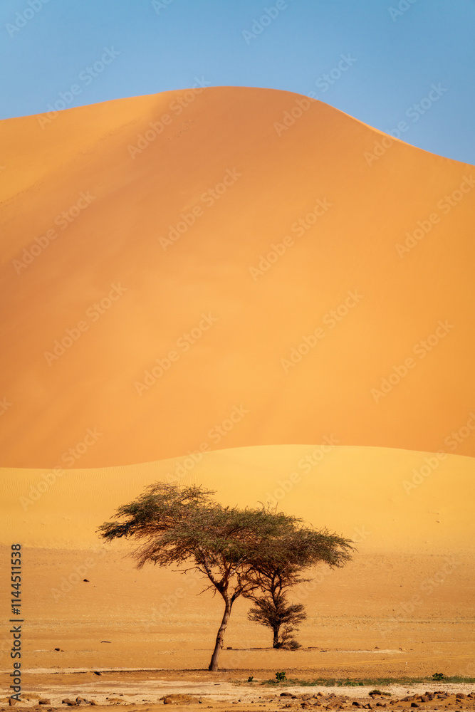 Sahara Desert Tadrart Rouge in Southern Algeria
