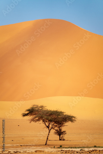 Obraz na płótnie Sahara Desert Tadrart Rouge in Southern Algeria w salonie