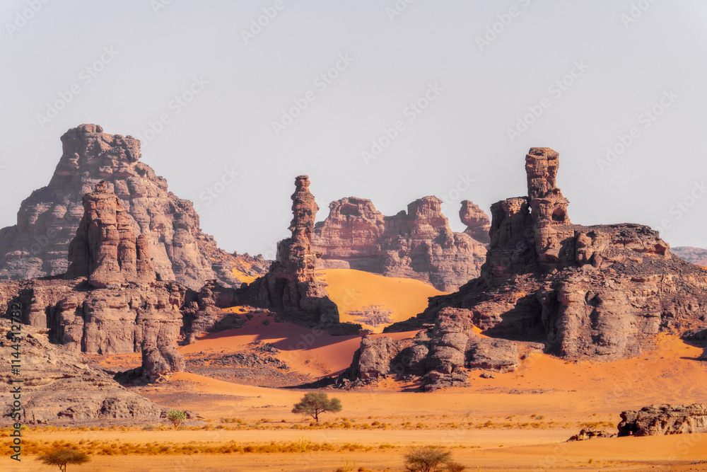 Sahara Desert Tadrart Rouge in Southern Algeria