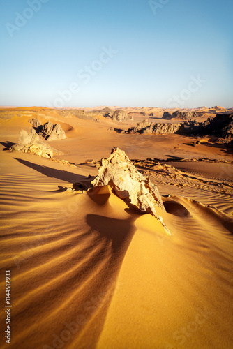 Sahara Desert Tadrart Rouge in Southern Algeria