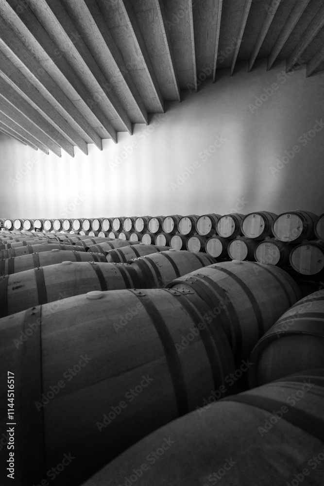 Wine Barrels in northern Spain Winery