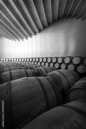 Obraz na płótnie Wine Barrels in northern Spain Winery w salonie