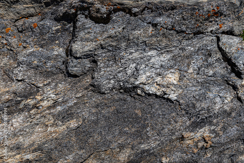 Fragment of a natural stone slab of grey-black color with red moss as a graphic background