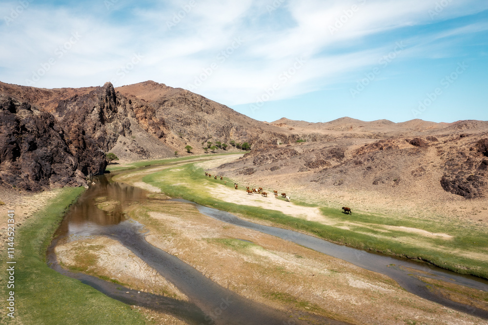 Mongolian Landscape in the Summer