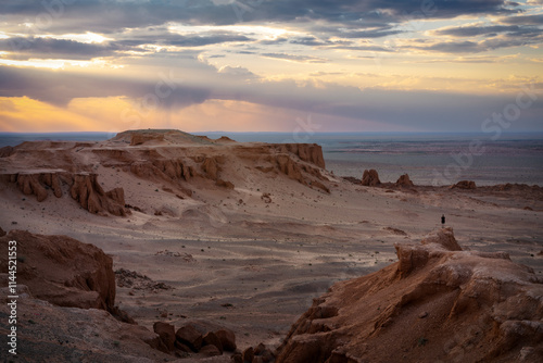 Obraz na płótnie Gobi Desert in Central Mongolia w salonie