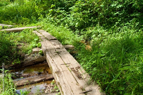 Small wooden bridge crossing a creek on the trekking trail