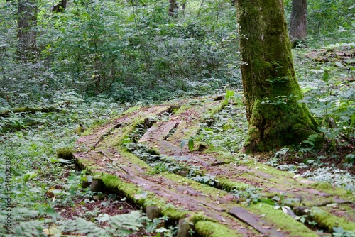 Myoko Togakushi renzan National Park Trekking Path