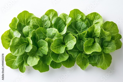 Fresh spinach leaves arranged on a white background showcasing their vibrant ...