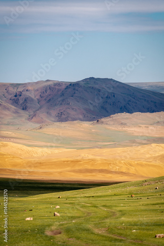 Obraz na płótnie Gobi Desert and Lakes in Central Mongolia w salonie