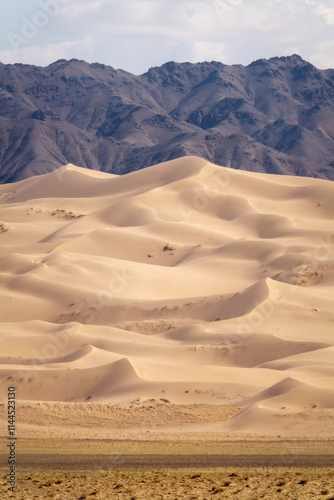 Obraz na płótnie Gobi Desert in Central Mongolia w salonie