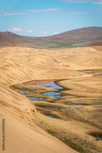 Obraz na płótnie Gobi Desert and Lakes in Central Mongolia w salonie