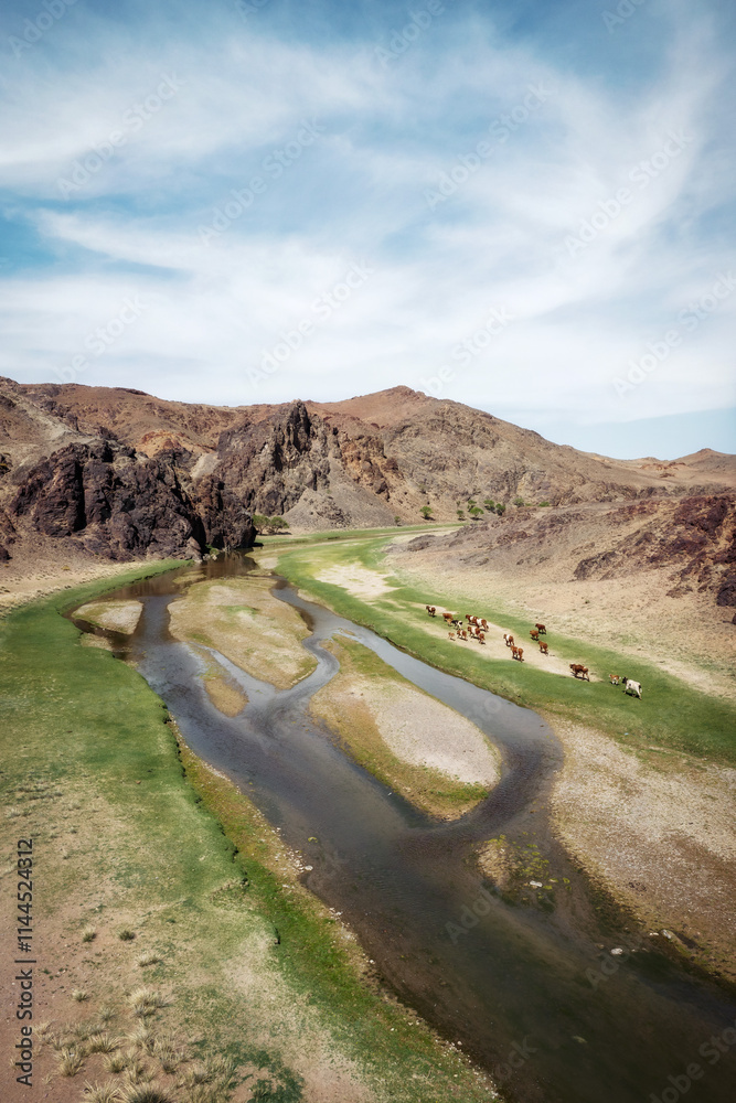 Mongolian Landscape in the Summer
