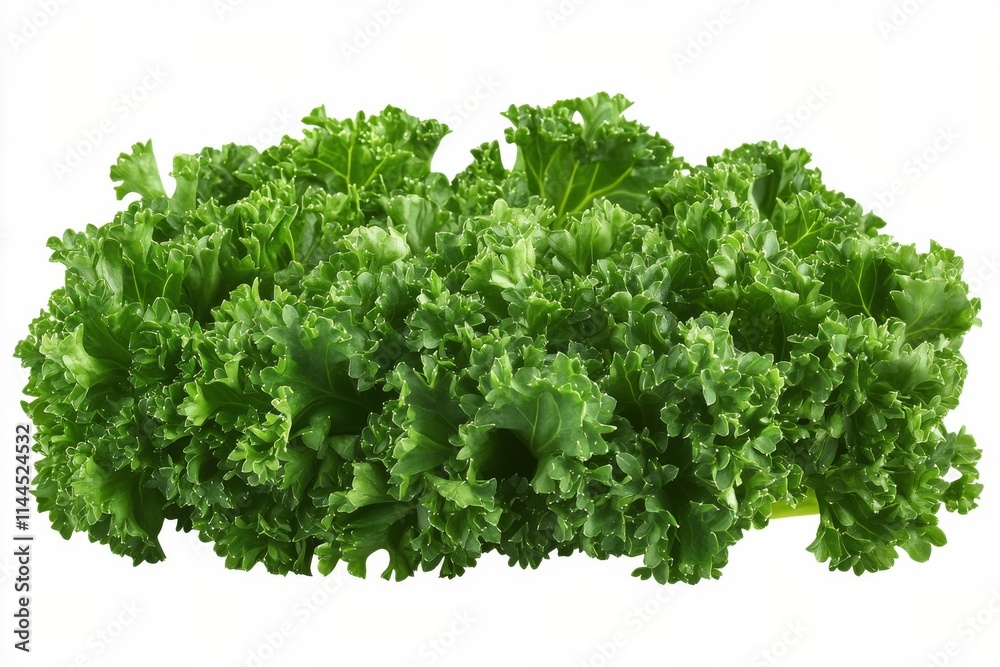 Obraz premium Lush green foliage creates a vibrant backdrop showcasing a variety of leaves with bright coloration and healthy