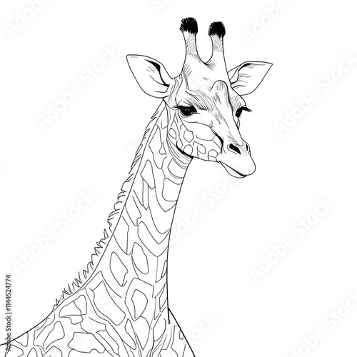 Coloring Book, Cartoon Vector Illustration of Black and White giraffe. Illustration for the children, coloring page with smiling cartoon giraffe. 