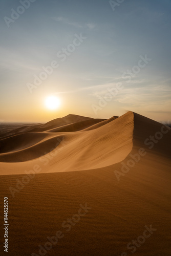 Obraz na płótnie Gobi Desert in Central Mongolia w salonie