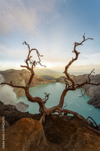 Obraz na płótnie Mount Ijen Volcano on Java in Indonesia w salonie