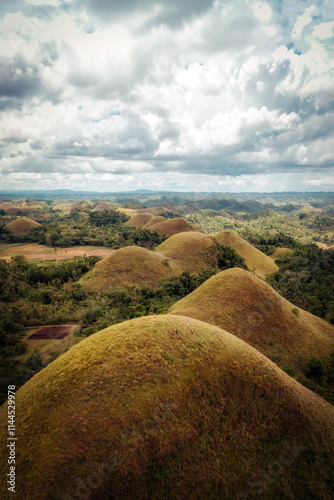 Obraz na płótnie Chocolate Hills in Bohol Philippines w salonie