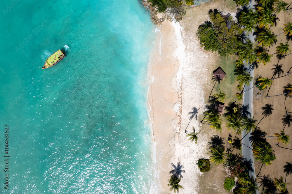 Caribbean Turquoise Water Sand Beach with Palm Trees