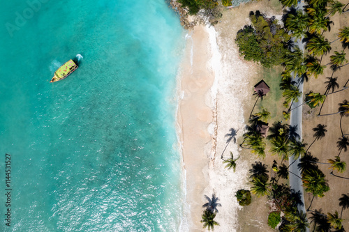 Obraz na płótnie Caribbean Turquoise Water Sand Beach with Palm Trees w salonie