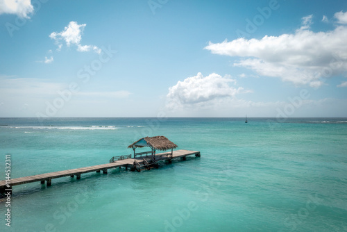 Obraz na płótnie Caribbean Turquoise Water Sand Beach with Palm Trees w salonie