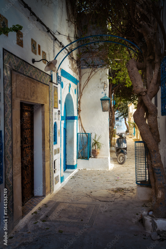 Sidi Bou Said In Tunis, Tunesia