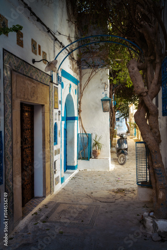 Obraz na płótnie Sidi Bou Said In Tunis, Tunesia w salonie