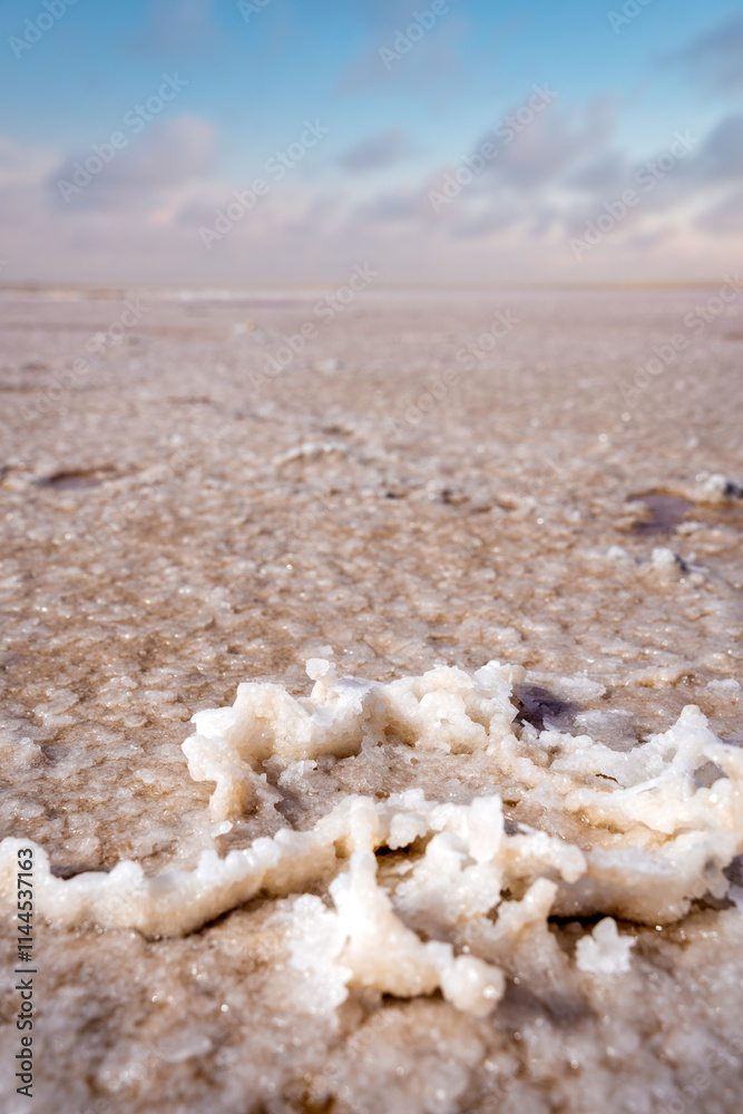 Dry Pink Salt Lake in Tunisia