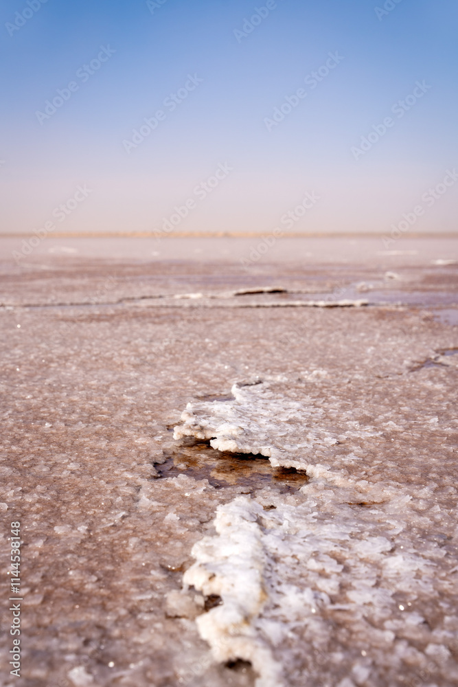 Dry Pink Salt Lake in Tunisia