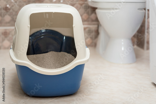 Large cat litter box with lid next to human toilet