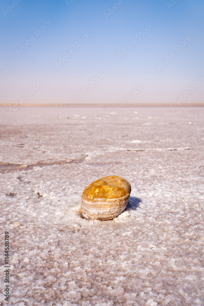 Dry Pink Salt Lake in Tunisia