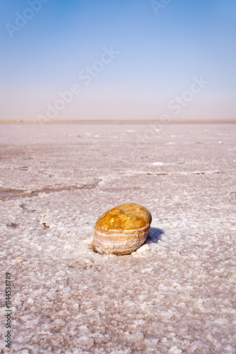 Dry Pink Salt Lake in Tunisia