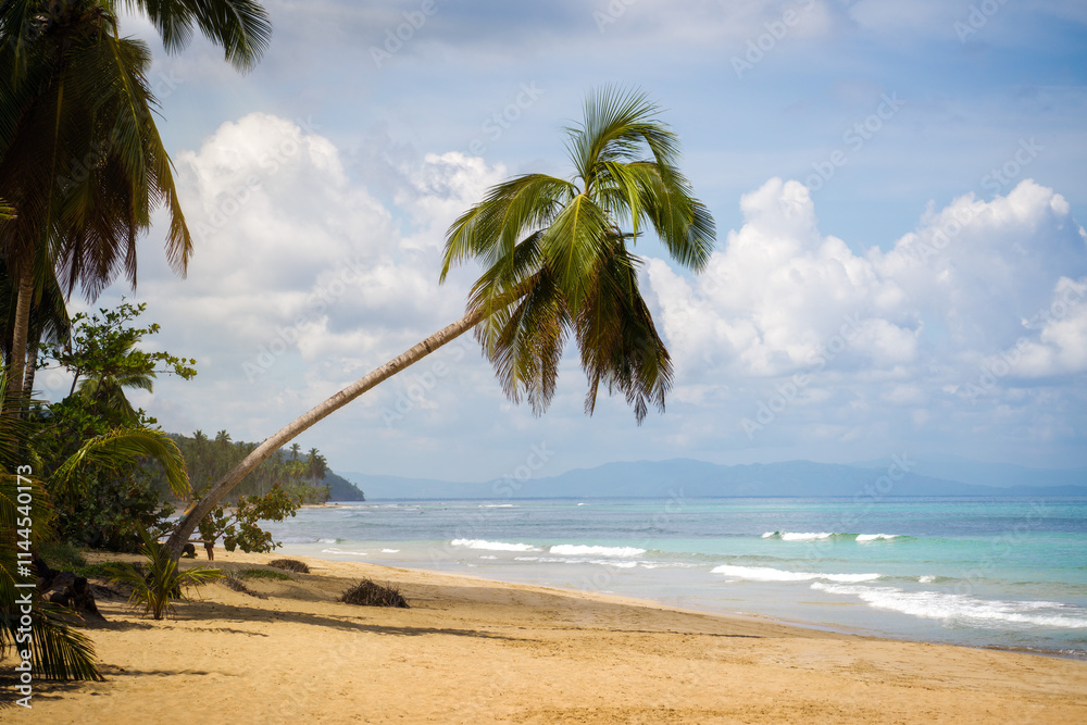 Turquoise White Beach in Dominican Republic