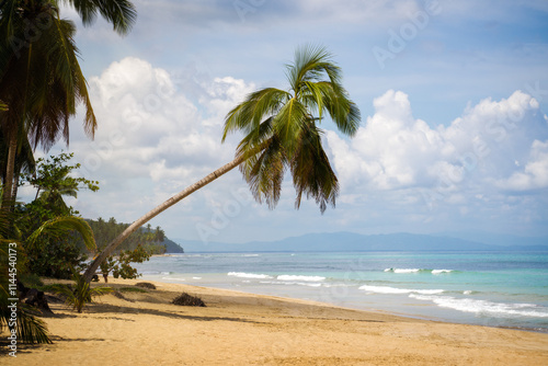Obraz na płótnie Turquoise White Beach in Dominican Republic w salonie