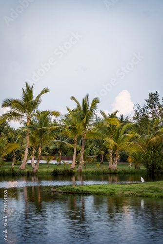 Obraz na płótnie Palm Trees in the Caribbean w salonie