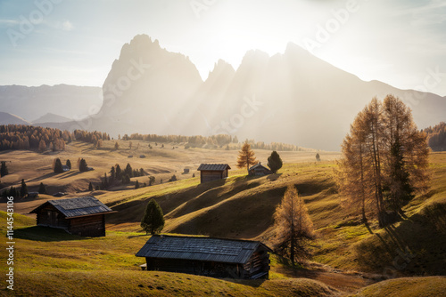 Alpe di Siusi in the Italian Dolomites