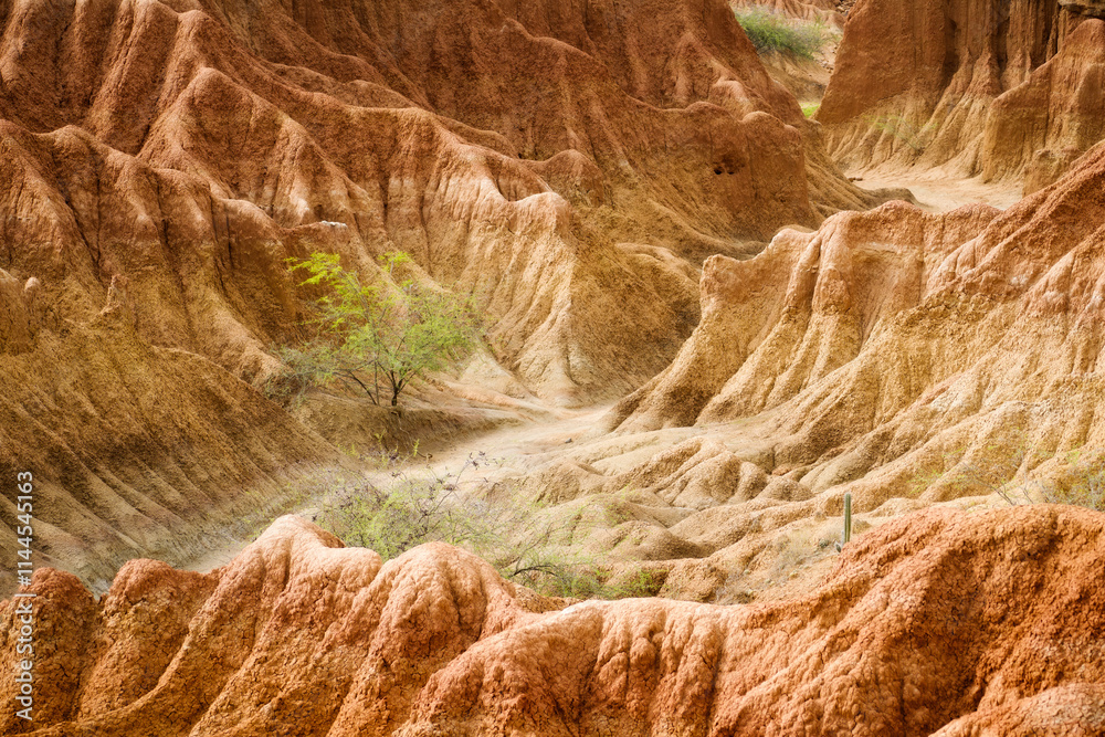 Tatacoa Desert in Southern Colombia