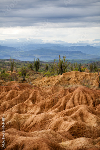 Obraz na płótnie Tatacoa Desert in Southern Colombia w salonie