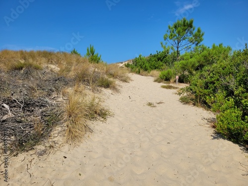 Beach St Nicolas (Soulac sur Mer) photo