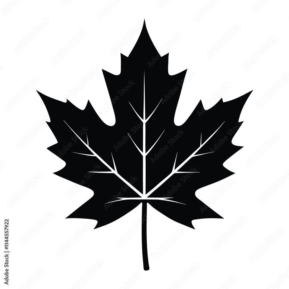Fototapeta premium A Pack Of Fern Leaf Silhouettes Vector Illustration