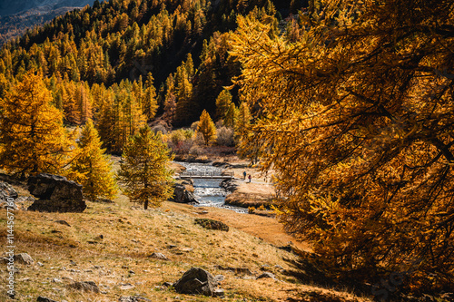  Vallée de la Clarée à l'automne, Hautes Alpes, France