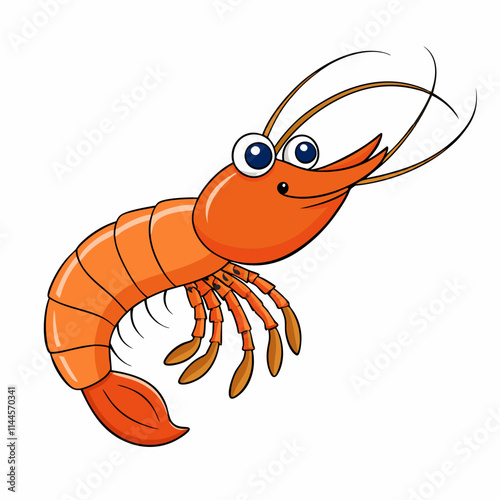 illustration of shrimp