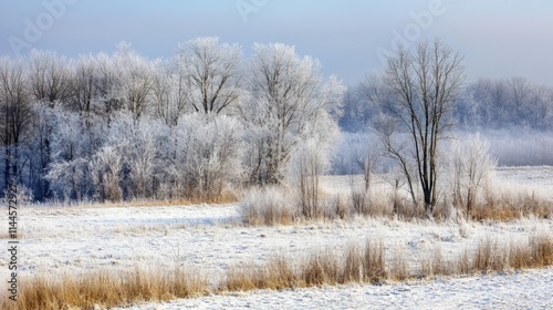 Wallpaper Mural Snowy landscapes with frozen rivers and frost-covered trees under a pale blue sky, capturing the serene beauty of a winter morning filled with calmness and icy reflections. Torontodigital.ca