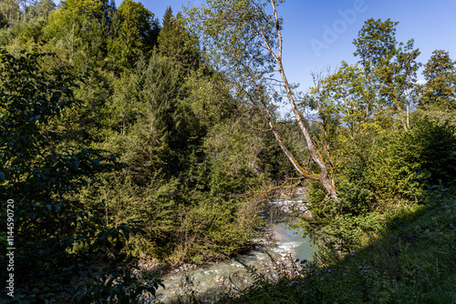 Tyrolean Gorge and Lichtensteinklamm Waterfall in the Austrian Alps